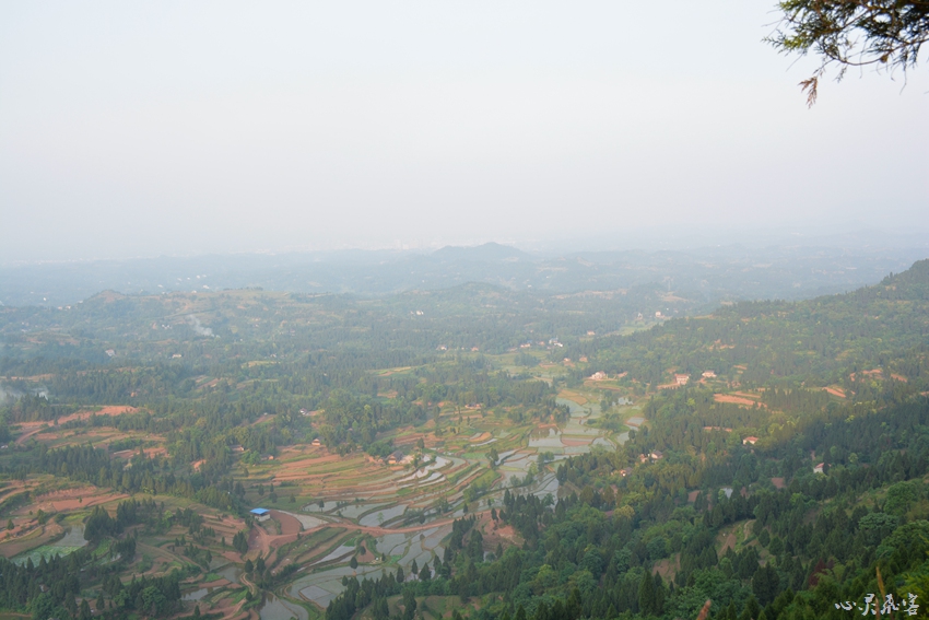 DSC_0842.jpg