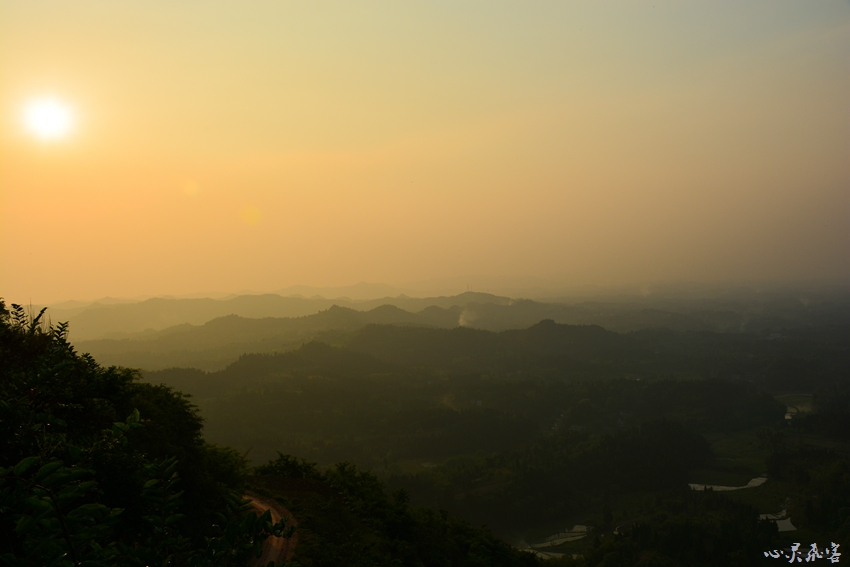 DSC_0846.jpg