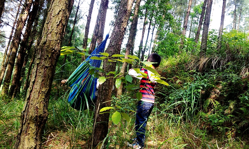 20140518_160636.jpg