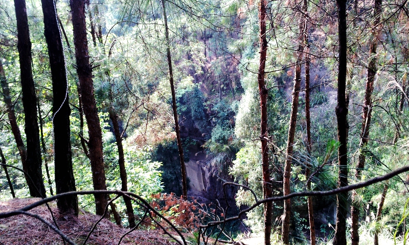 20140518_163114.jpg
