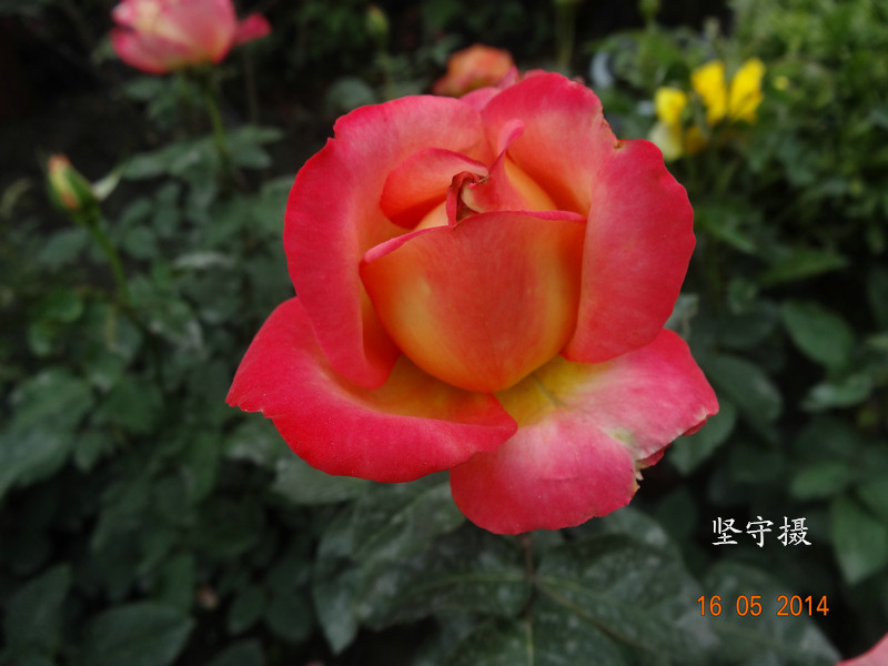 DSC08773.JPG