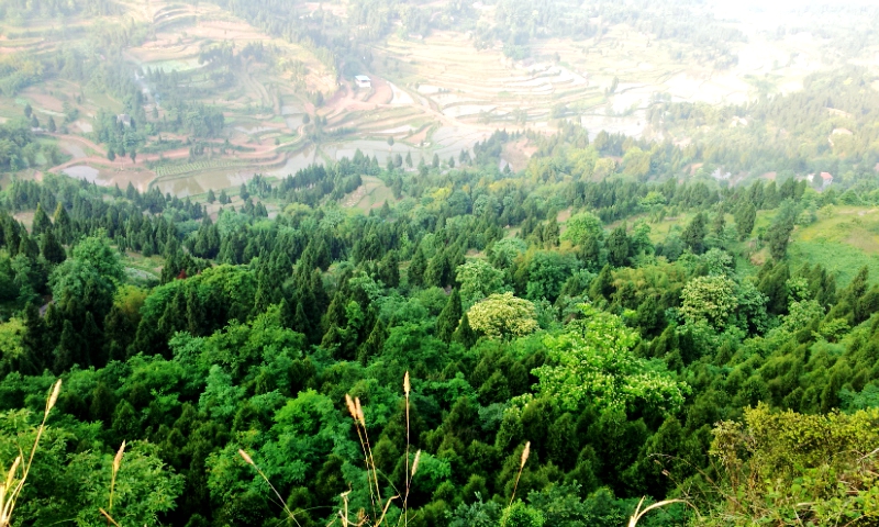20140518_182950.jpg