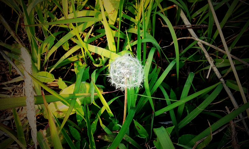 20140518_183307.jpg