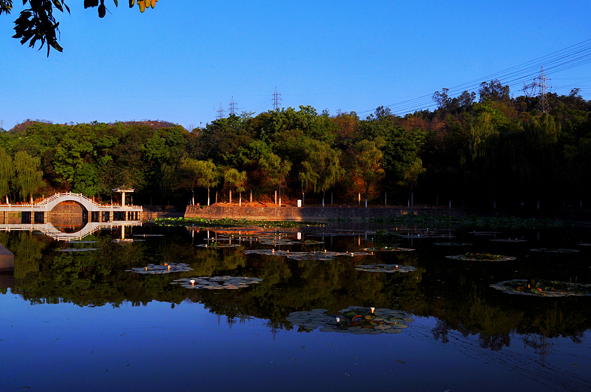 DSC_0178_.jpg