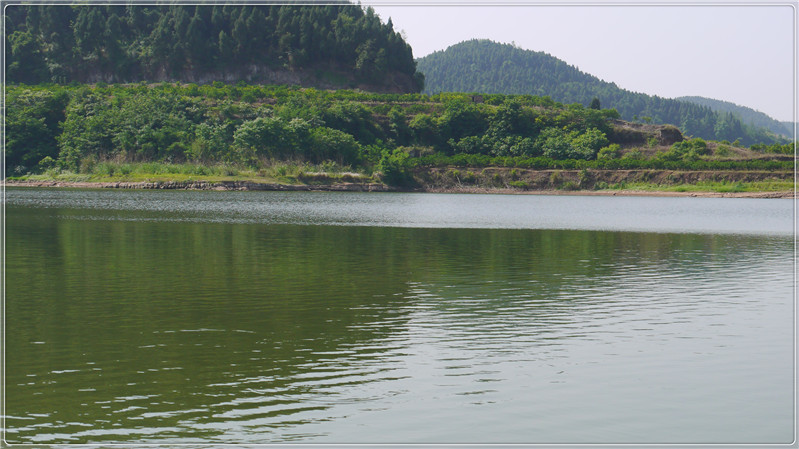 西充论坛 麻辣社区-四川第一网络社区