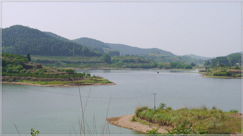 西充论坛 麻辣社区-四川第一网络社区