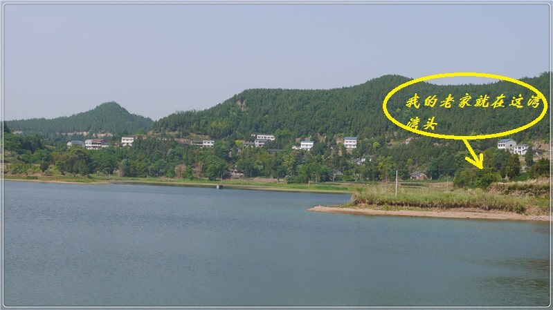 西充论坛 麻辣社区-四川第一网络社区