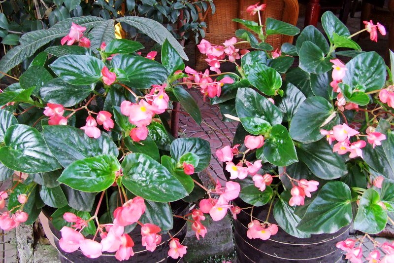 conew_dscf9148_conew1.jpg