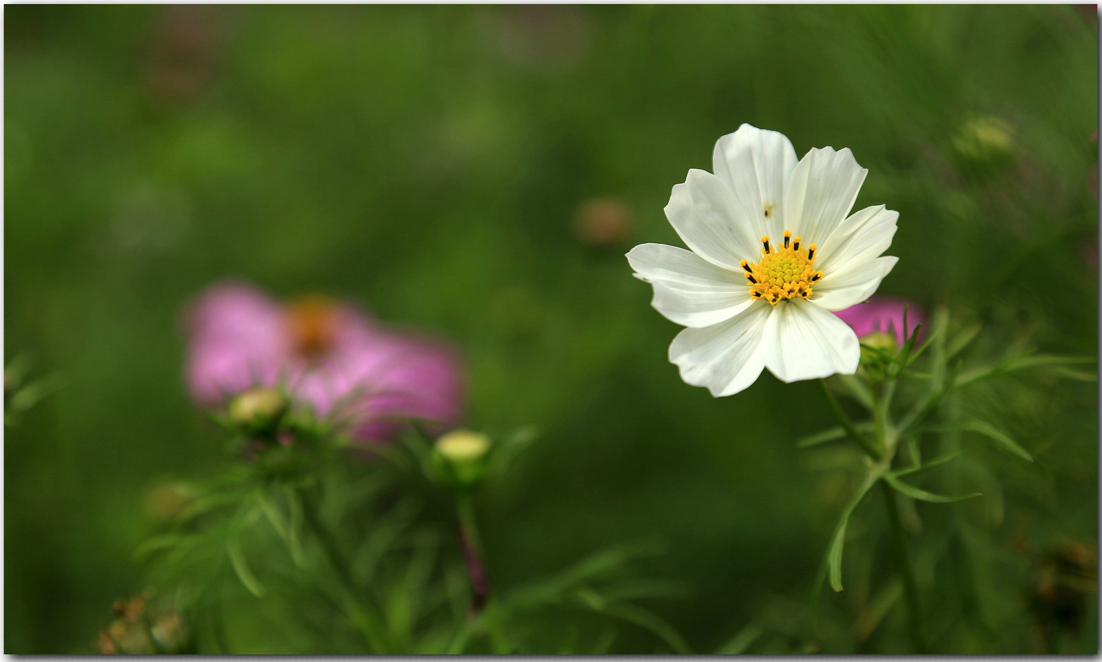 Ƭ 074.jpg