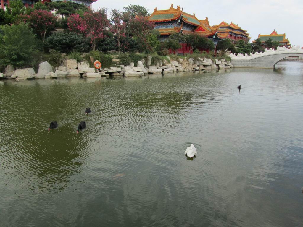 IMG_9874.JPG