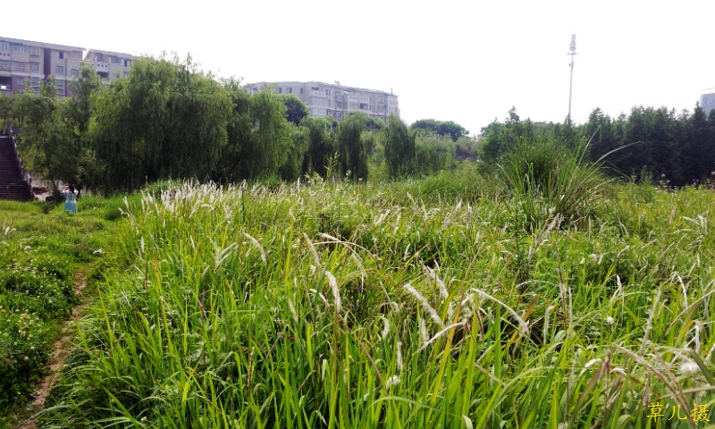 20140524_095311.jpg