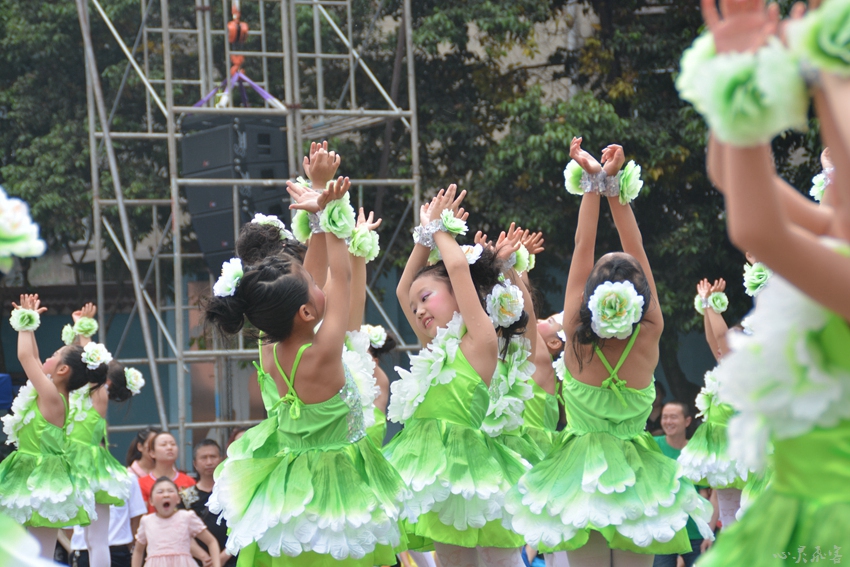 DSC_2972.jpg