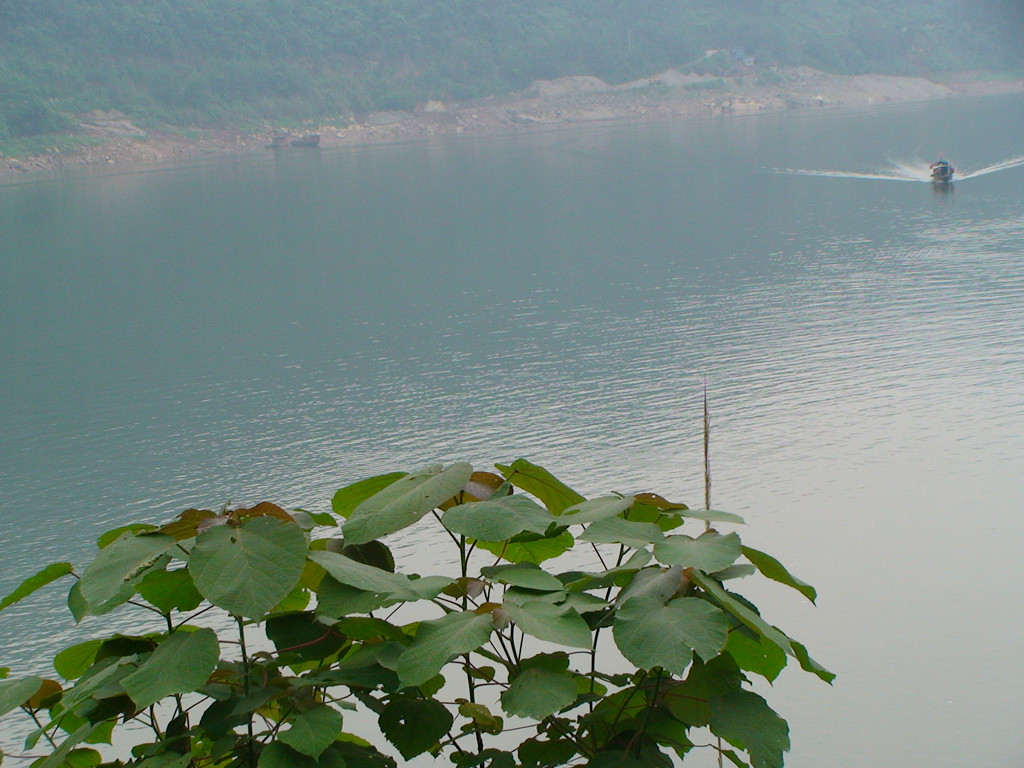DSC00974_.jpg
