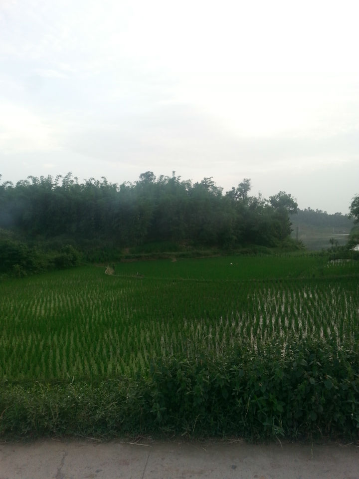 20140527_192952.jpg