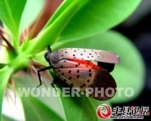 t018ab0c81ae48154ec.jpg