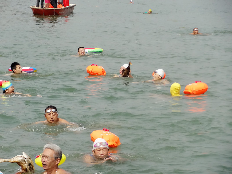 DSC08029_.jpg