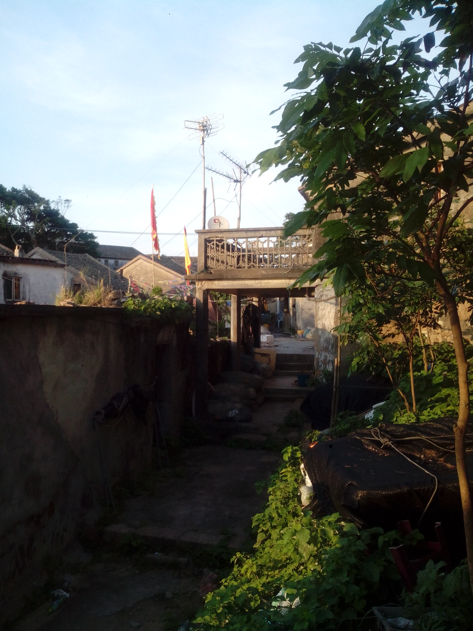 IMG_20140531_181451.jpg