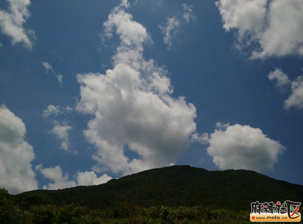 IMG_20140602_114143.jpg