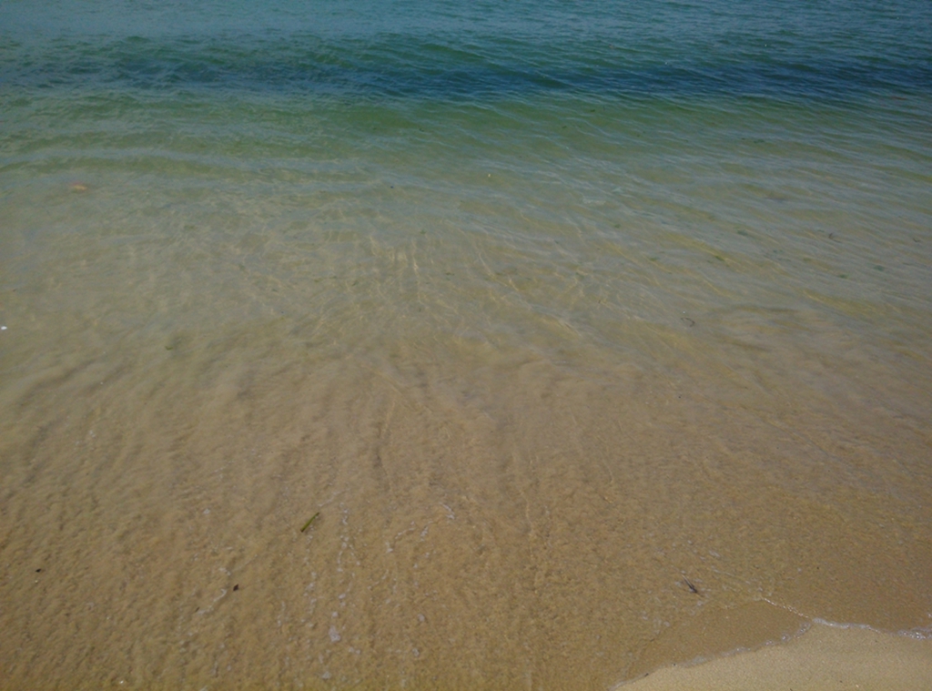 IMG_20140602_095532.jpg