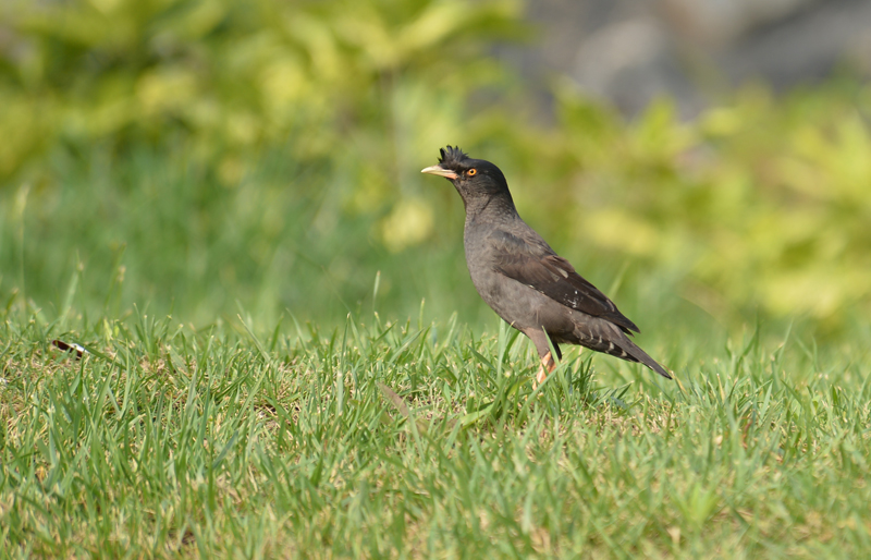 DSC_0863.jpg