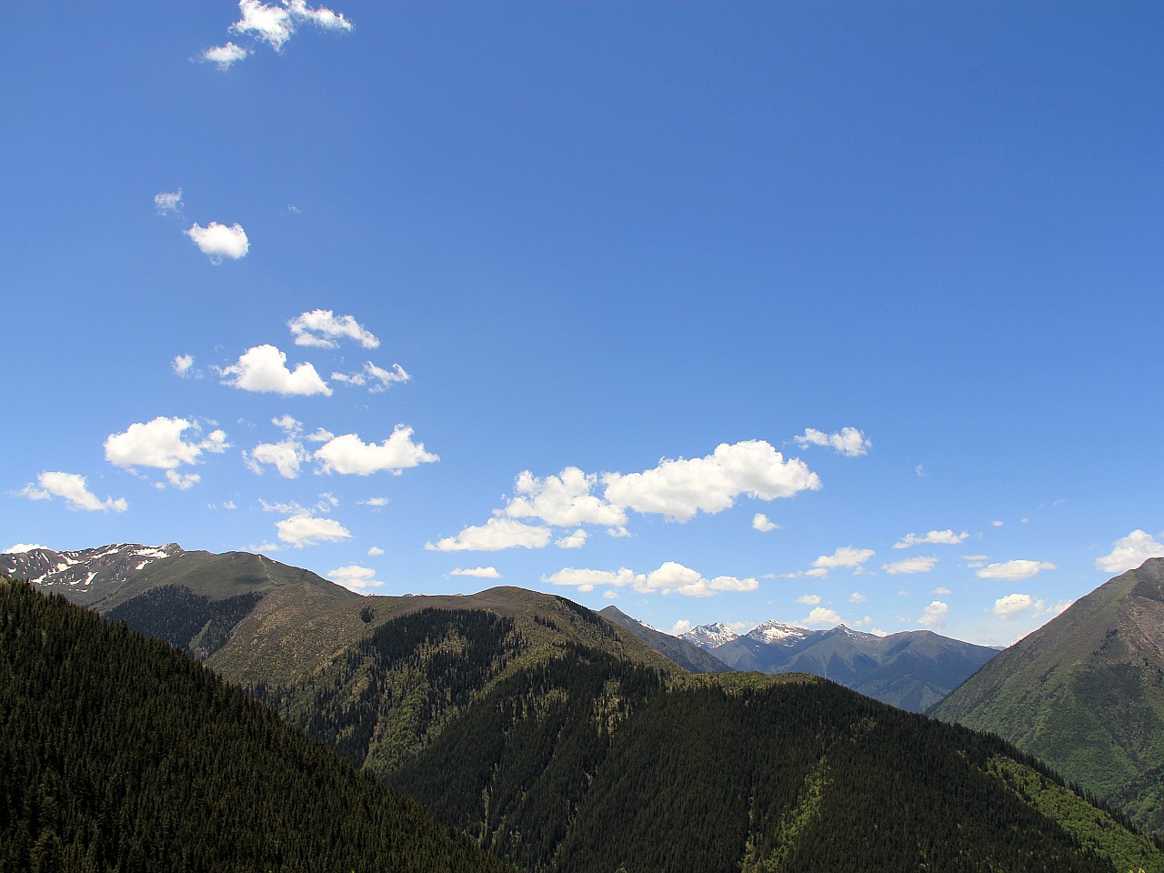 IMG_5745_conew1.jpg