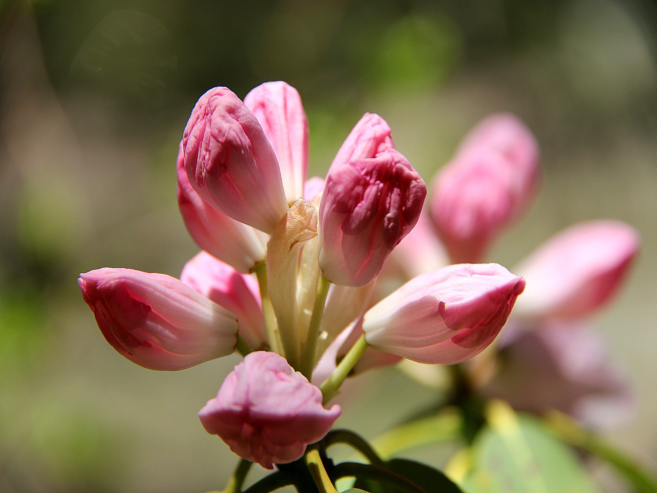 IMG_5791_conew1.jpg