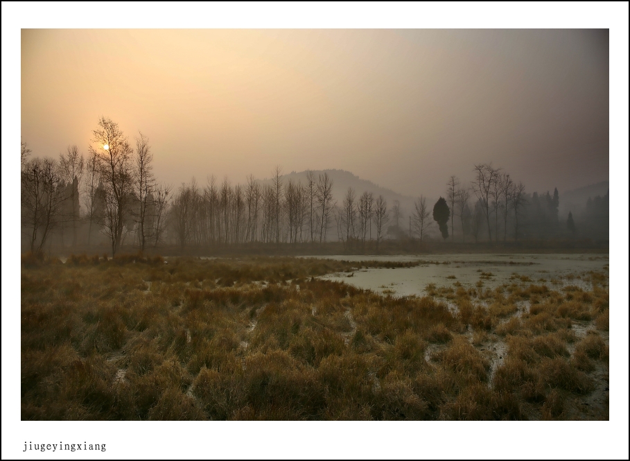 _MG_3511_dh_conew1.jpg