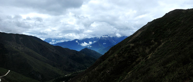 DSC_1371__.jpg