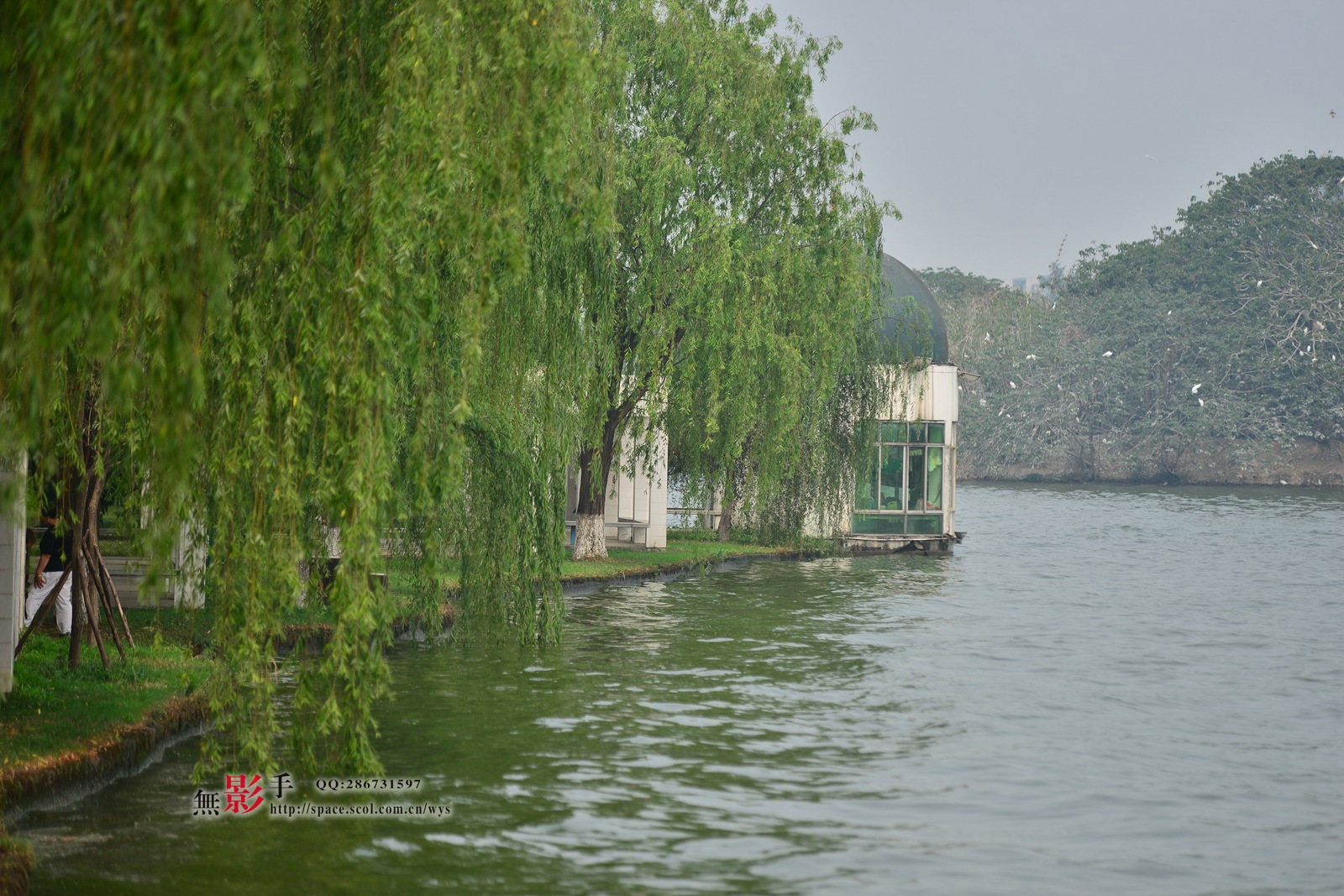 DSC_9642.jpg