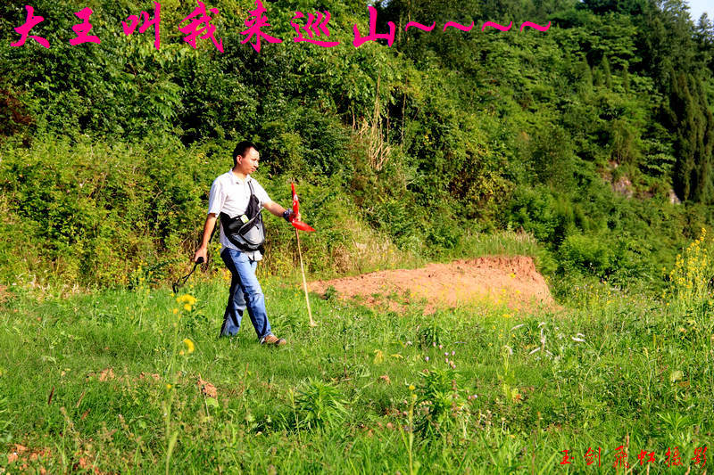 nEO_IMG_IMG_0253.jpg