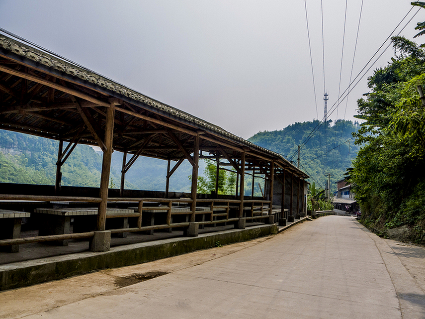 P1130810.jpg