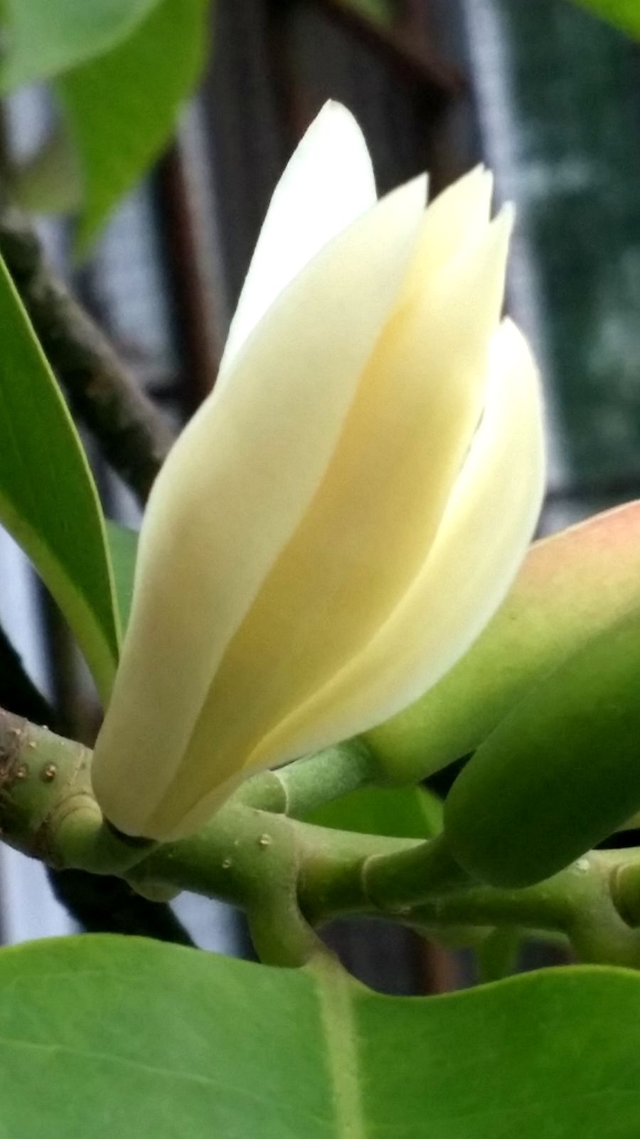 20140607_080134.jpg