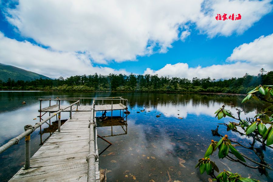 康定雅家情海