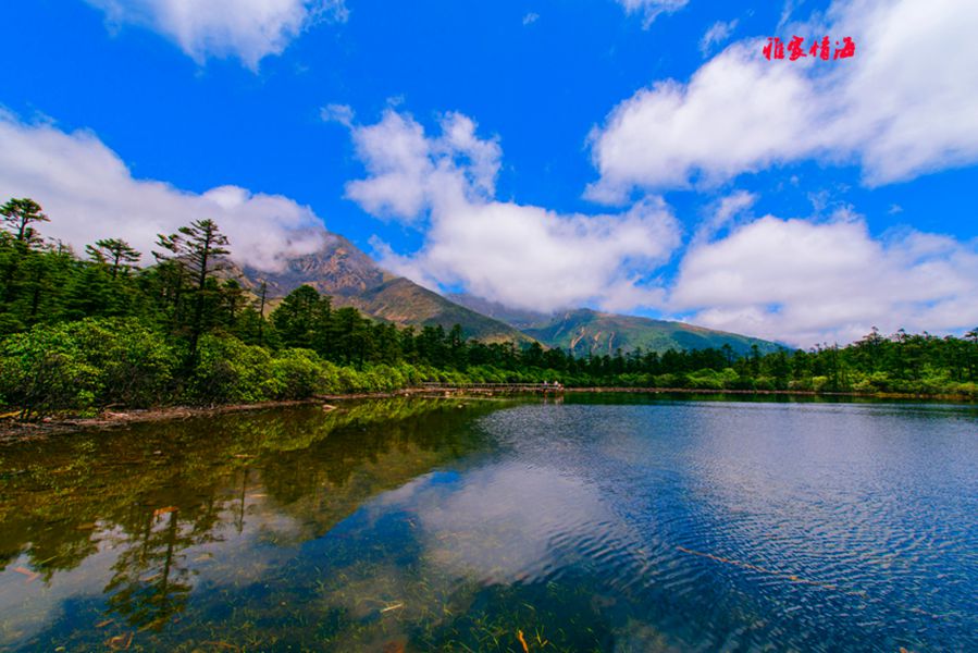 康定雅家情海