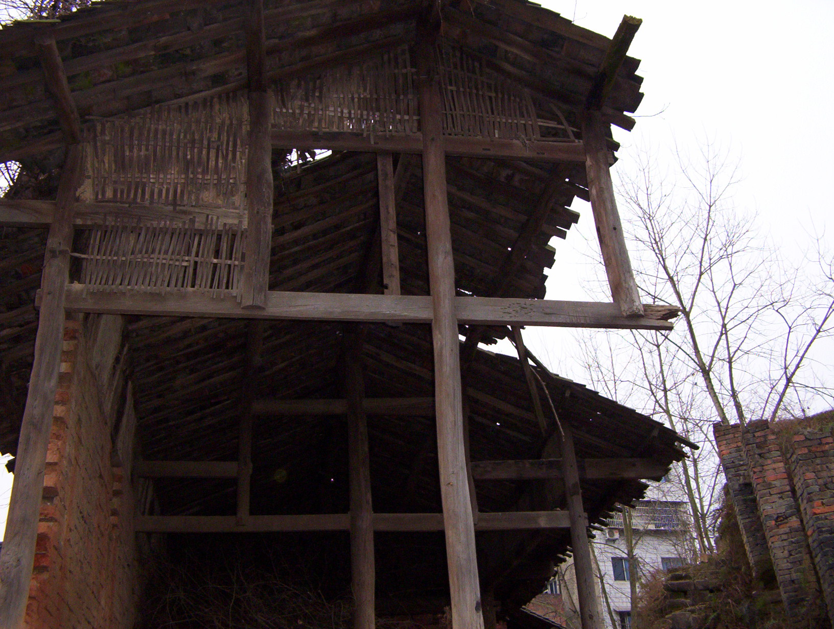 20102416215949727.jpg