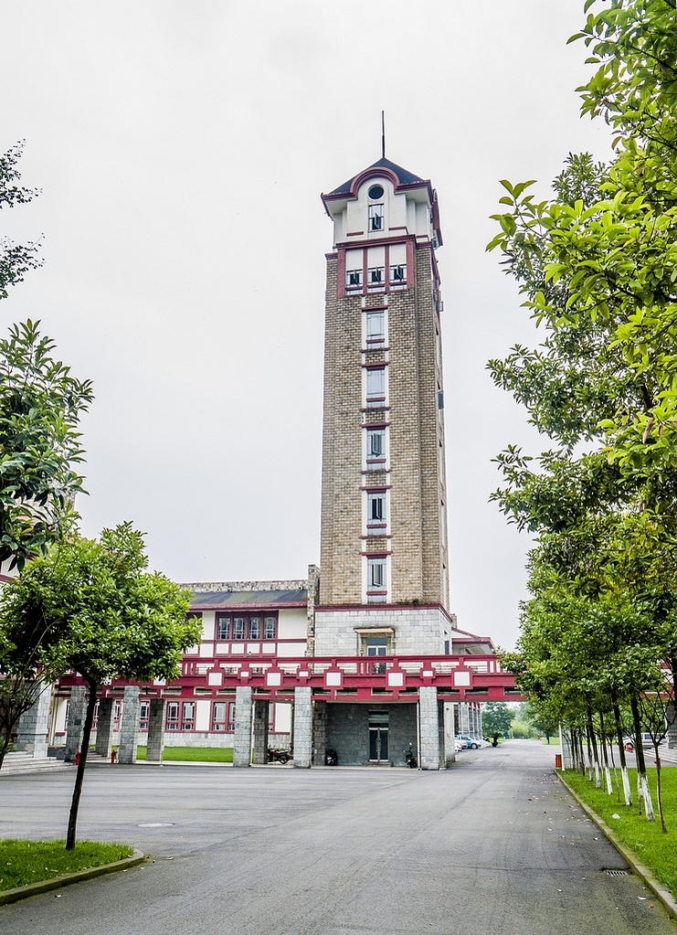 徜徉成都東軟學院