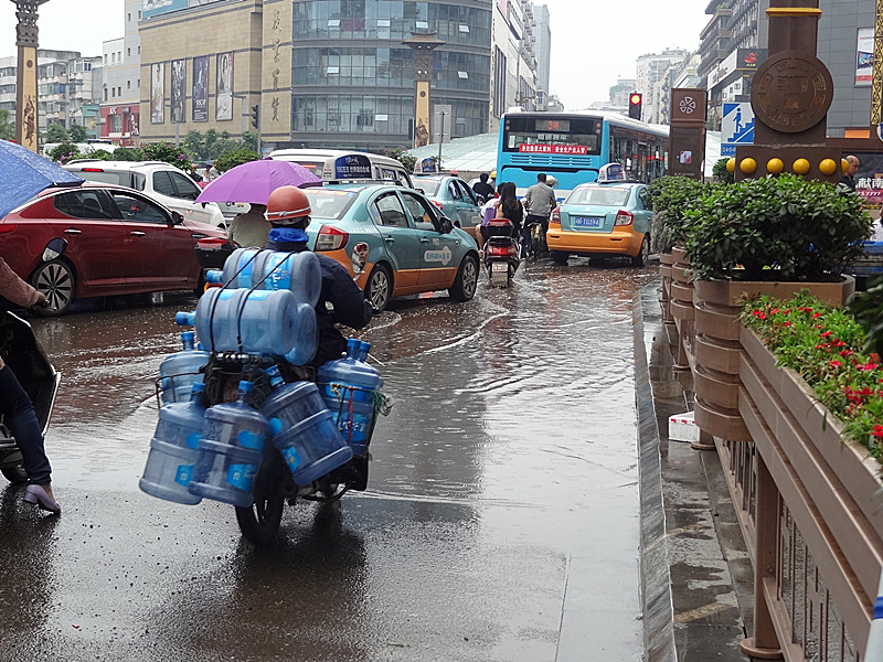 DSC08653_.jpg