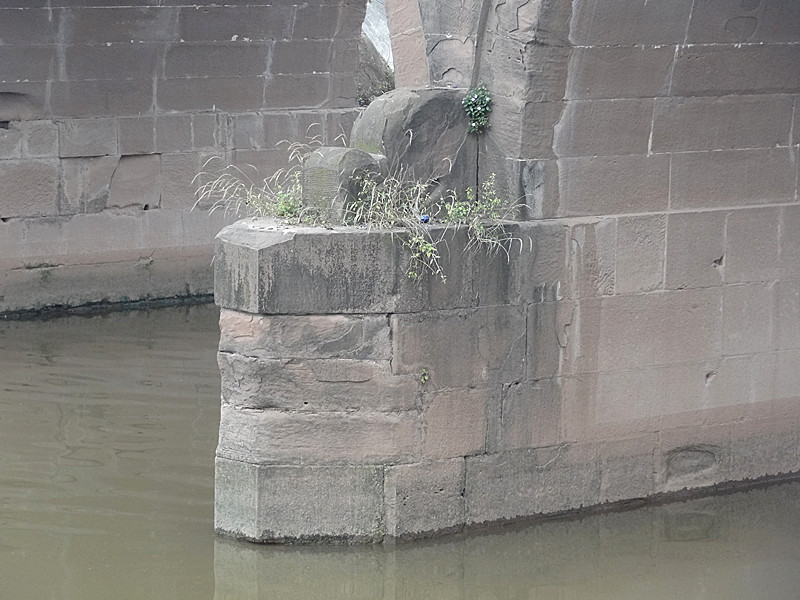 DSC08638_.jpg