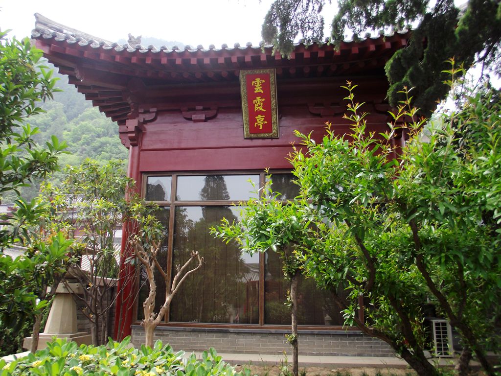 DSCF9698.JPG