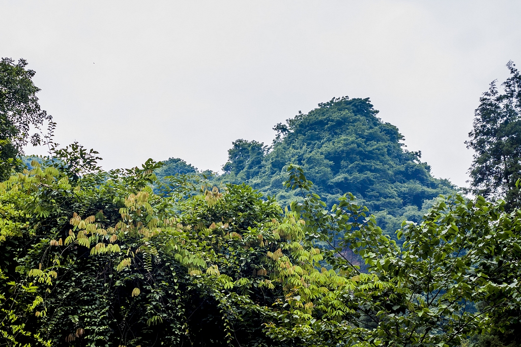 _MG_4327.jpg