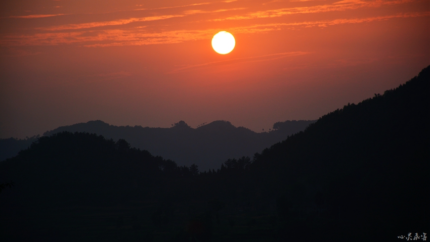 DSC_3647.jpg