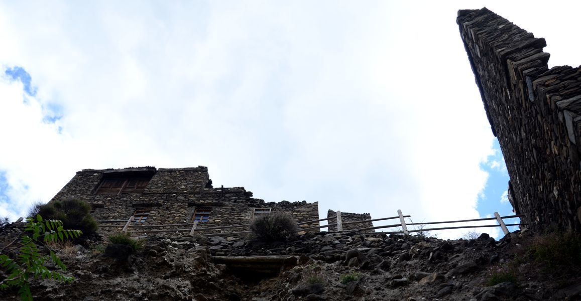 DSC_1730_.jpg