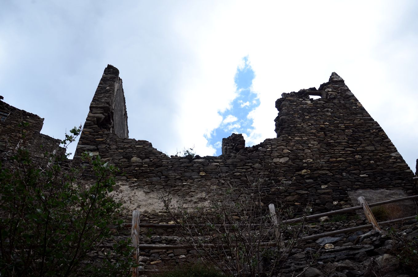 DSC_1731_.jpg