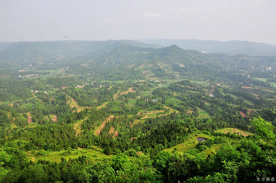 Ů080.jpg
