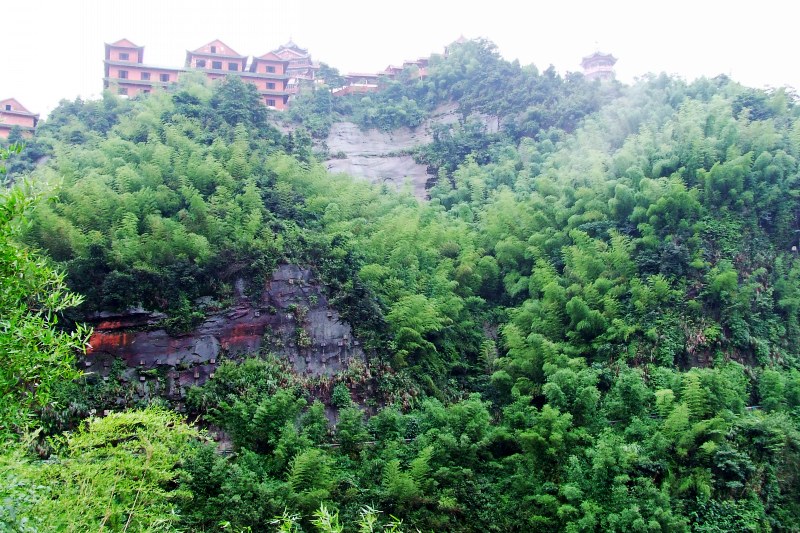 DSCF9330_conew1.jpg