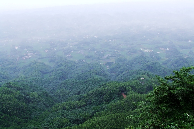 DSCF9328_conew1.jpg