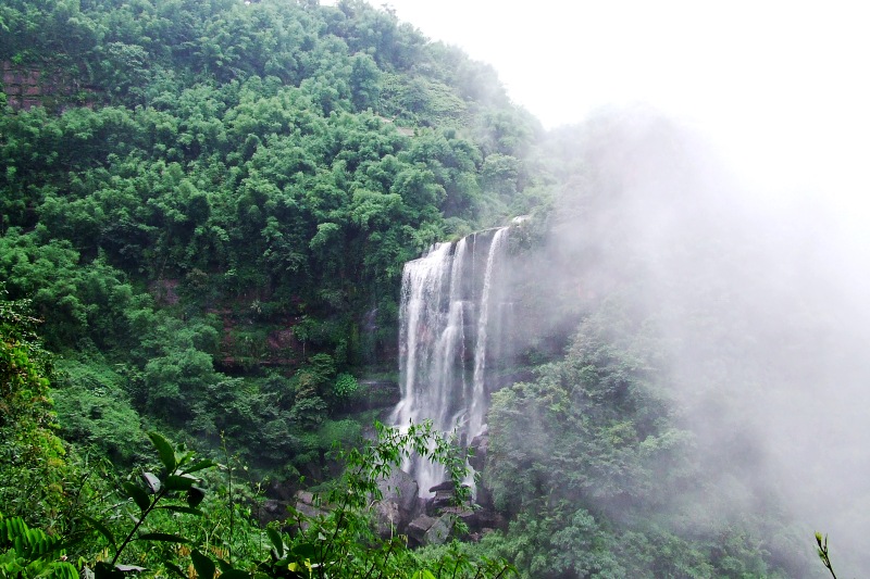 DSCF9390_conew1.jpg