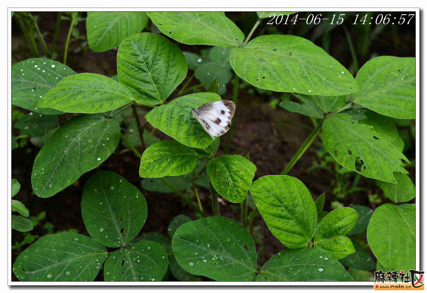 DSC_2153.JPG