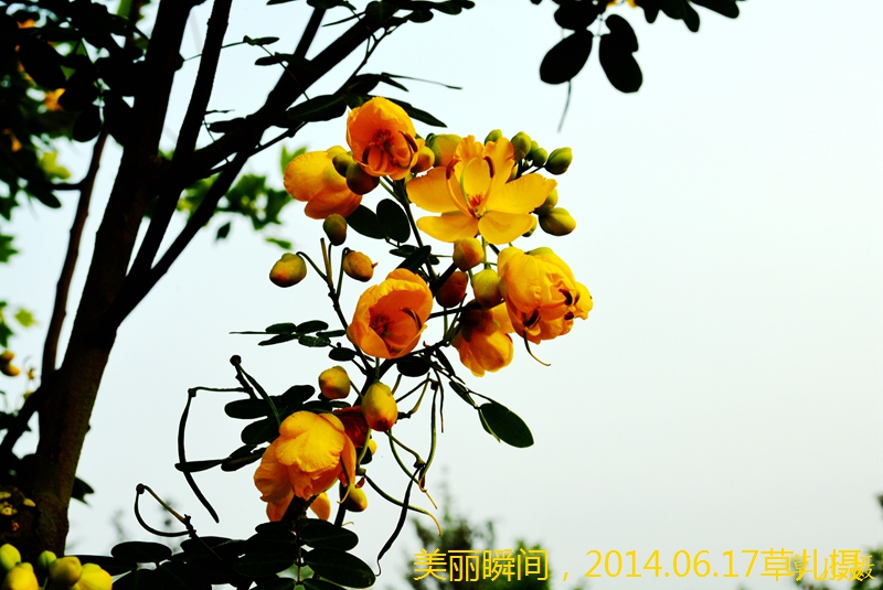 DSC_1476.jpg