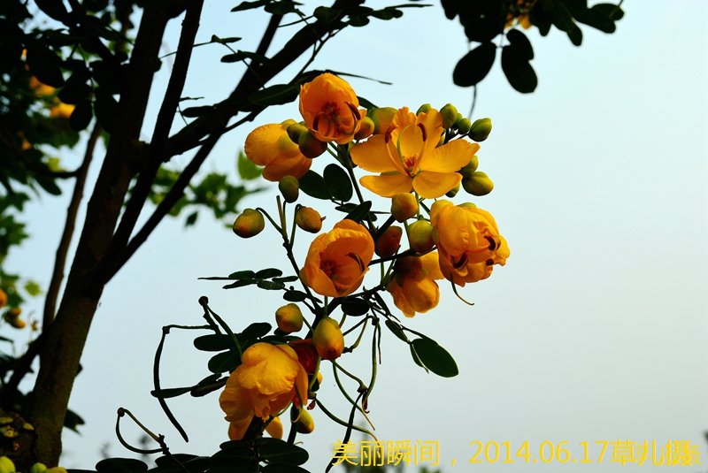 DSC_1477.jpg